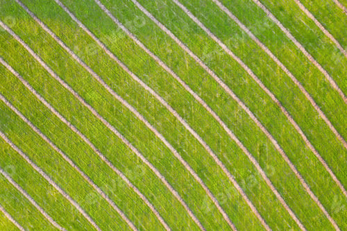Preview: Green natural background with diagonal structure from aerial perspective