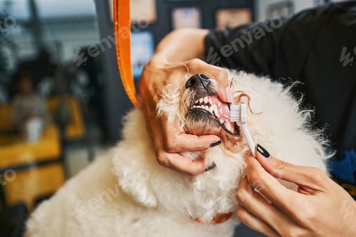 Preview: Specialist being careful while dealing with dental care