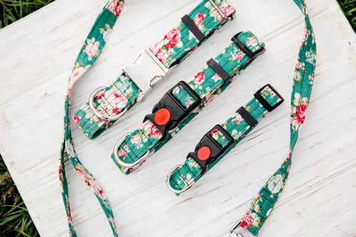 Preview: Dog Collar and Leash set. Pet Supplies and Walking Gear Collection