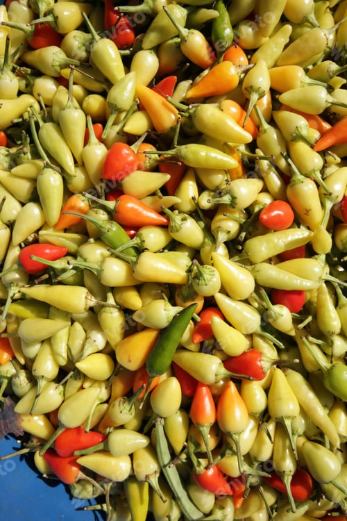 Preview: red and yellow chillis