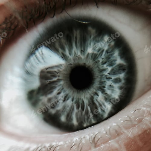 Preview: Closeup of a blue human eye with birds reflected on the retina