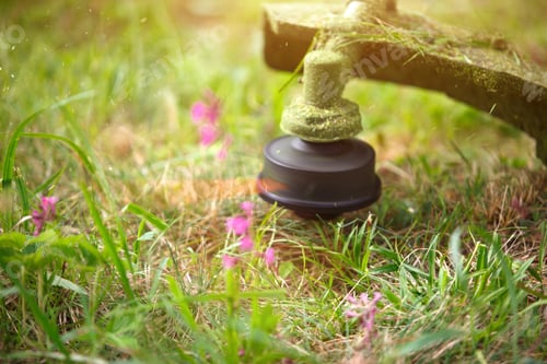 Preview: Trimer mows grass close-up. Fishing line in motion and grass particles in the air.