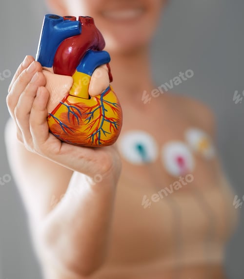 Preview: Heart health concept, cardiac stress test. Woman during heart test with sensors holds anatomical
