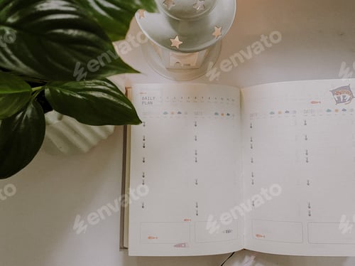 Preview: Cozy working place with open notebook nearby the green house plant