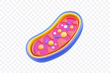 Visualização: Célula de energia mitocôndria