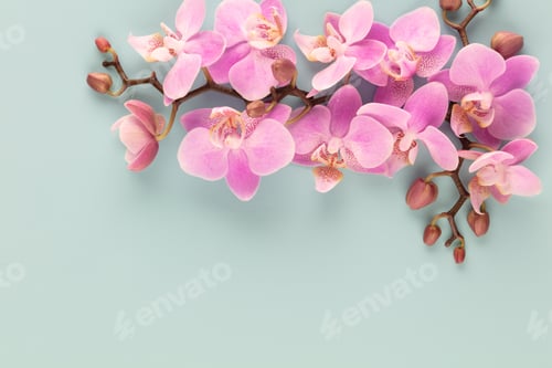 Preview: Pink orchid theme objects on pastel background.