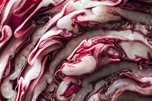 Preview: close up view of fresh cut textured red cabbage