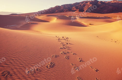 Preview: Sand dunes in California