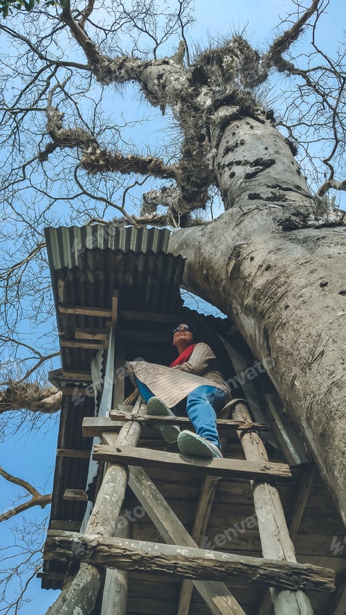 Preview: On the tree house....