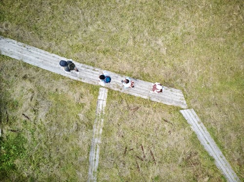 Preview: Birds Eye View at Group of Tourists Hiking