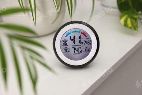 Preview: Digital hygrometer with thermometer and plants on white table