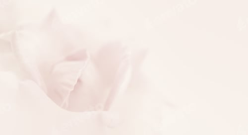 Preview: Sweet Color Rose Petals For Romantic Background