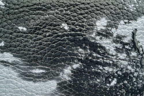 Preview: Abstract Background Of Rough Spotty Texture Of Natural Leather Closeup Monochrome Tone