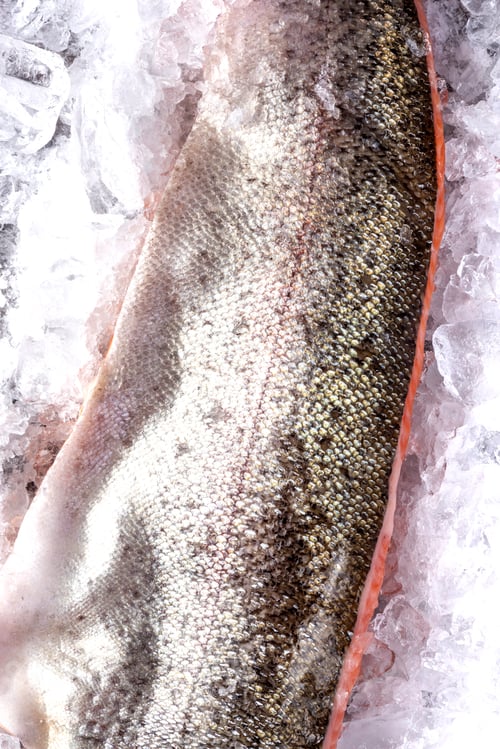 Preview: Fresh Salmon Fish in Skin Fillet on Ice