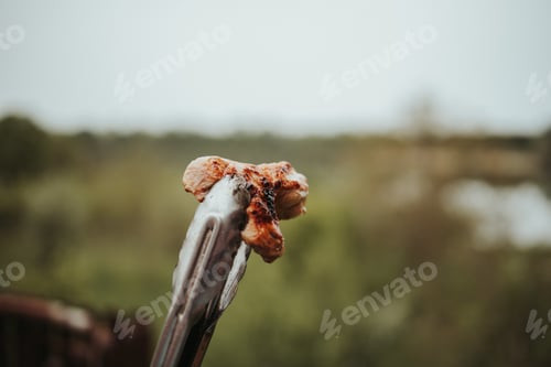 Preview: Selective focus shot of cooking tongs holding a piece of a grilled meat