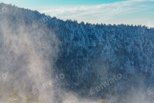 Preview: Roan Mountain Appalachian Mountains Tennessee