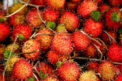 Preview: Close-up shot of delicious tropical sweet Rambutan fruits with hairy shells