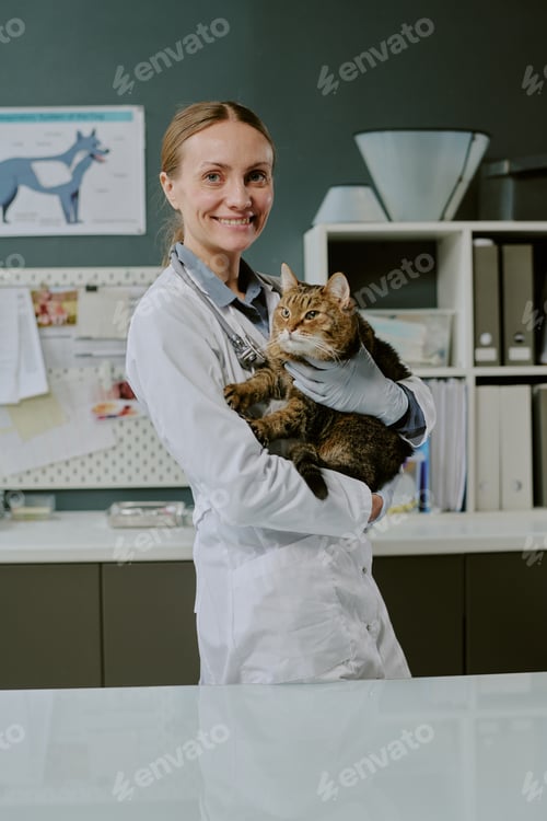 Preview: Smiling Female Veterinarian Holding Brown Tabby Cat in Clinic