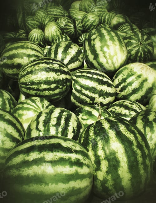 Preview: Truckload of Melons in December
from Oman in Abu Dhabi Fruit Souk