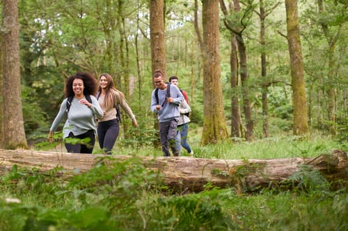 Preview: A multi ethnic group of five young adult friends walking in a forest during a hike