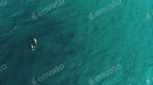 Preview: swimming