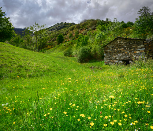 Preview: Old stone house in the flowery meadows at the foot of the mounta