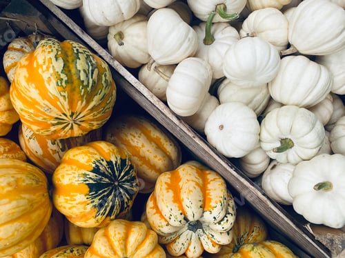 Preview: Pumpkins