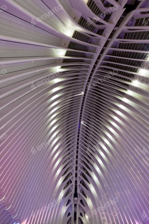 Preview: Valencia City of Arts and Sciences interior detail