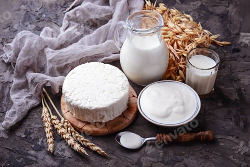 Preview: Tzfat cheese, milk and wheat grains. Symbols of judaic holiday Shavuot