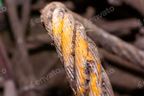 Preview: Closeup of an old rustic rope on a blurry background