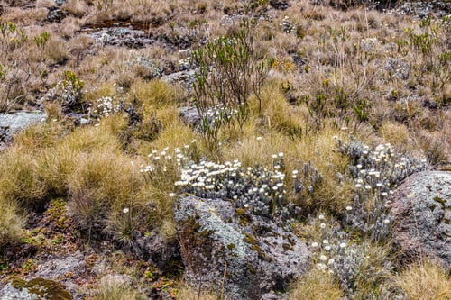 Preview: Kenyan Landscapes Dragons Teeth Mount Satima Lesatima Table Mountain