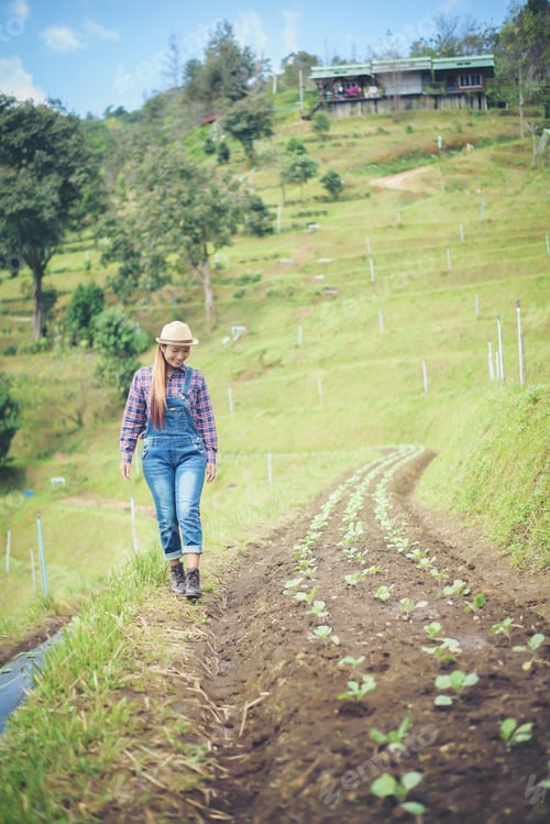 Preview: farmer woman
Planting trees in the garden