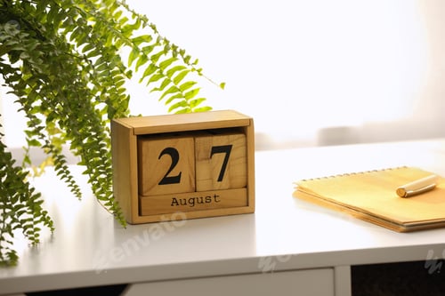 Preview: Wooden block calendar and plant on white table indoors