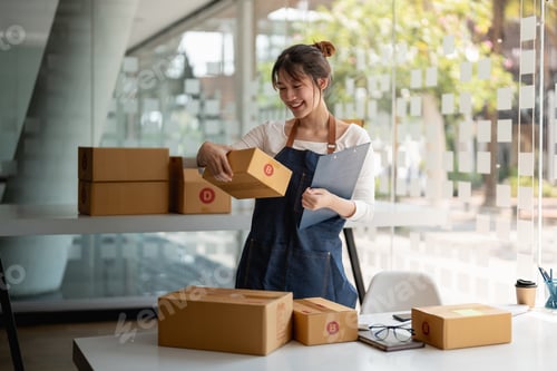 Preview: Starting Small business entrepreneur freelance, Portrait young woman working at home office, BOX