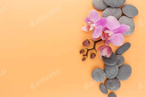 Preview: Pink spa orchid theme objects on pastel background.