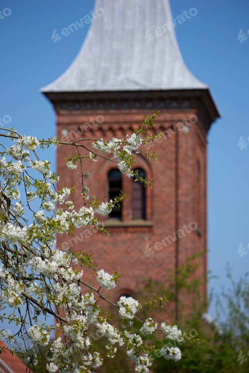 Preview: Mirabella blooming in springtime
