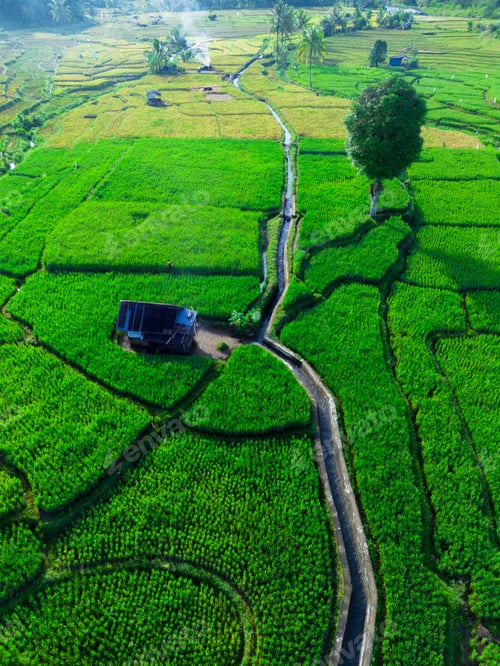 Preview: Wonderful sunrise scenery indonesia nature mountain valley