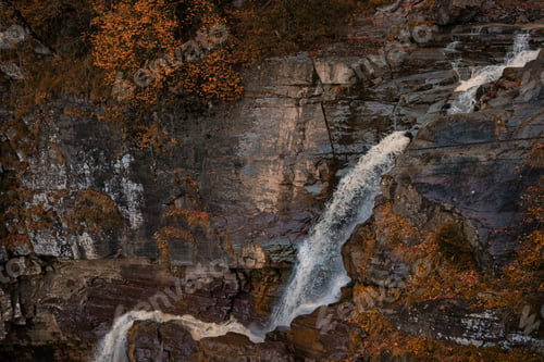 Preview: River deep in mountain forest. Nature composition.