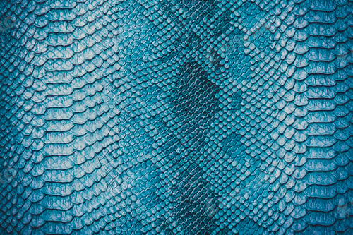 Preview: Snake skin background. Close up.