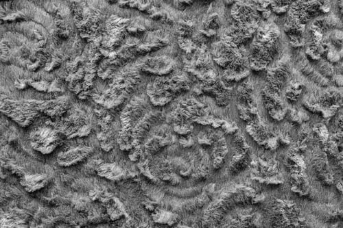 Preview: Abstract Texture Of Dark Gray Fur Fabric With Curls For Background Surfaces And For Wallpaper