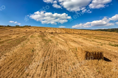 Preview: hay bales