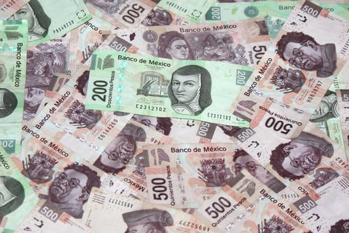 Preview: Paper Currency of Mexico