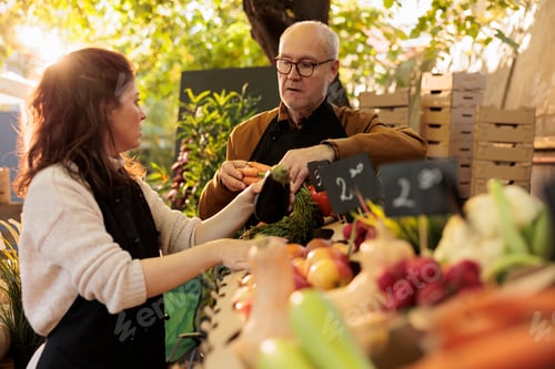 Preview: Family couple selling organic farm goods at farmers market
