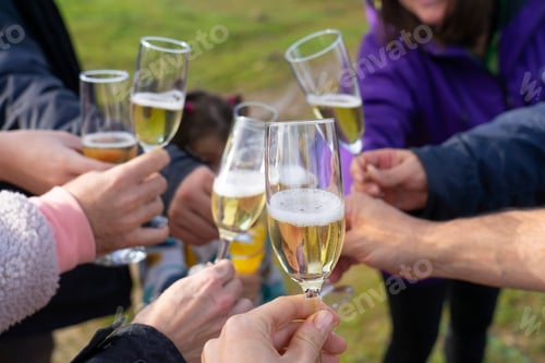Preview: People toasting with champagne outdoors