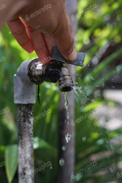 Preview: wash hand