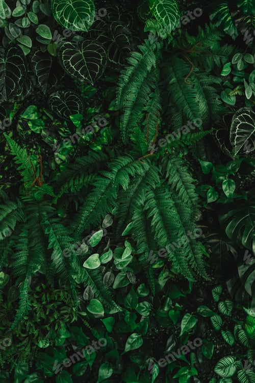 Preview: Close-up of a group of green leaves, providing a textured and abstract nature background.