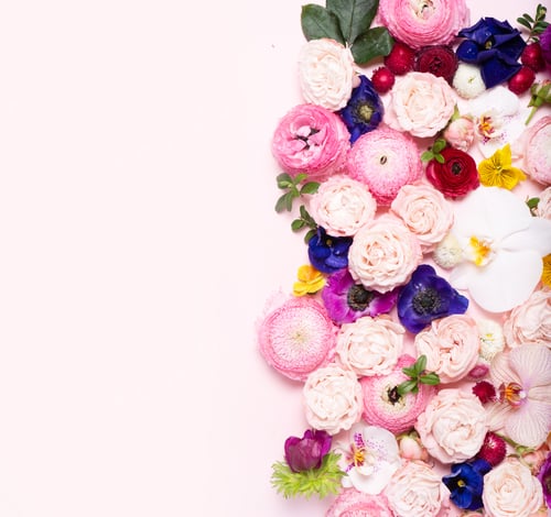 Preview: Flowers flat lay composition