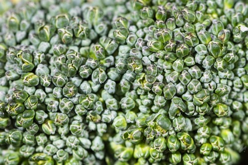 Preview: Close up broccoli flower