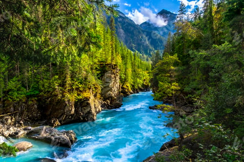 Preview: Turquoise water flowing through lush green forest in mount robson provincial park