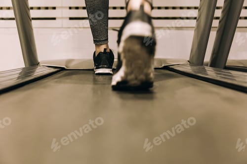 Preview: Woman's feet while walking on threadmill at gym